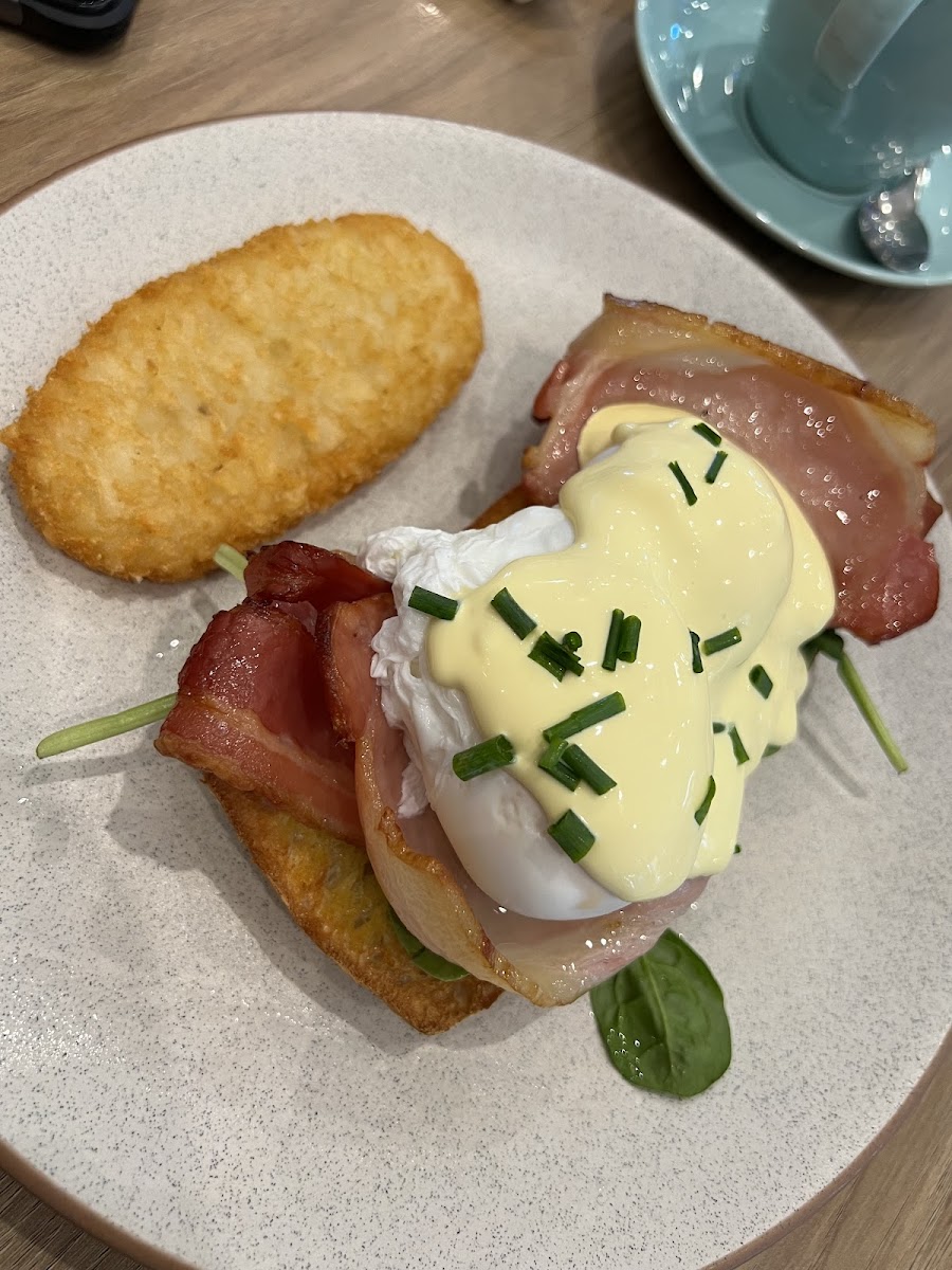 The Coffee Club Café - Robina Qld-3